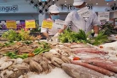 Nhiều loại thuỷ sản xuất khẩu vào Nhật phải được chứng nhận nguồn gốc không vi phạm IUU