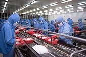 Nới lỏng quy định kiểm tra tôm xuất khẩu sang Australia
