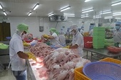 Xuất khẩu nông sản Việt: Chuẩn hóa chuỗi sản xuất để nắm bắt cơ hội