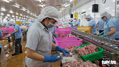Đơn hàng gạo, cá Việt đi châu Âu tăng bất ngờ