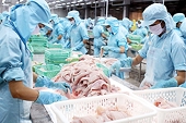 Doanh nghiệp xuất khẩu chịu ảnh hưởng của biến động tỷ giá