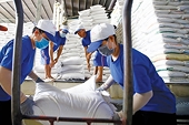 Gạo Việt gia nhập đường đua giá trị, doanh nghiệp xuất khẩu bứt tốc cuối năm?
