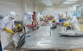 “Chạy nước rút” trước kỳ kiểm tra IUU của EC