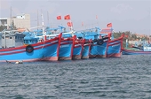 Còn nhiều tồn tại trong công tác gỡ “thẻ vàng” IUU