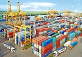 Xuất nhập khẩu đạt trên 557 tỷ USD, khu vực FDI tiếp tục giữ vai trò “nhạc trưởng”