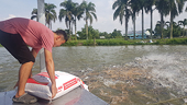 Xuất khẩu thủy sản lập kỳ tích nhờ nuôi trồng