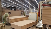 “Hộ chiếu xanh” FLEGT cho xuất khẫu gỗ: Thách thức trước mắt nhưng lợi ích lâu dài