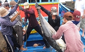 EC sang kiểm tra khắc phục “thẻ vàng” IUU, địa phương cần chuẩn bị nhiều kịch bản