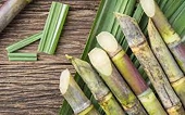 Ngành mía đường khó khăn trong tương lai gần