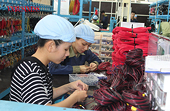 Xuất khẩu 'đau đầu' khi tỷ giá USD không ngừng tăng
