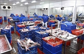 Xuất khẩu nông, lâm, thủy sản tăng trên 14%