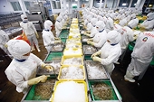 Xuất khẩu sang châu Mỹ thắng lớn nhờ “đòn bẩy” CPTPP