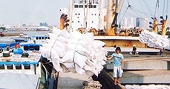 Cơ hội cho Gạo Việt 'vẽ lại' bức tranh lợi thế trong bản đồ xuất khẩu?