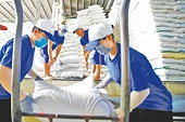 Xuất khẩu tăng nhờ “đòn bẩy” FTA
