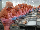 Xuất khẩu tôm sang nhiều thị trường chính giảm mạnh