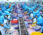 Xuất khẩu tôm giảm