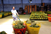 Xuất khẩu rau quả khởi sắc trở lại nhờ Trung Quốc tăng nhập chuối, sầu riêng