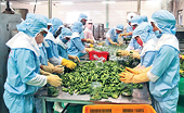 Cơ hội để nông sản chinh phục thị trường tỷ dân
