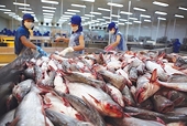 Xuất khẩu thủy sản dự kiến đạt 11 tỷ USD năm 2022