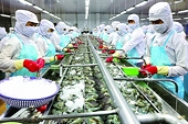 Xuất khẩu tôm tiếp tục khó khăn