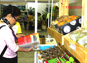 Mối lo nông sản thực phẩm xuất khẩu không đạt chuẩn phải trả về