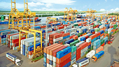 Doanh nghiệp cũng cần “biết đi kiện”