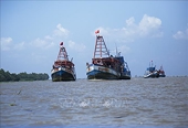 Tập trung khắc phục những hạn chế về IUU theo khuyến nghị của EC