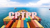 Phòng vệ thương mại trong CPTPP đối với các doanh nghiệp xuất khẩu Việt Nam