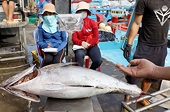 Thị trường Trung Quốc ngày càng khó tính, sẽ có những thay đổi bất ngờ gì đối với ngành thủy sản?