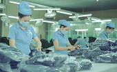 Bài học 'ăn chắc mặc bền' cho xuất khẩu vào thị trường Mỹ