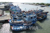 Khắc phục "thẻ vàng" IUU: Cần sự hợp tác của các địa phương