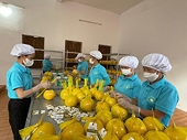 Thực thi UKVFTA, Việt Nam liên tục xuất siêu sang thị trường Anh