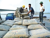 Bộ Công Thương Philippines kiến ​​nghị áp thuế chống bán phá giá xi măng Việt Nam