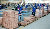 225 vụ điều tra phòng vệ thương mại nhắm vào hàng xuất khẩu của Việt Nam
