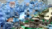 Toàn cầu lên cơn sốt, Việt Nam trở thành quốc gia xuất khẩu thủy sản lớn thứ ba thế giới
