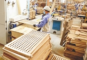 Chủ động đối phó rào cản phòng vệ thương mại