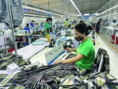 Giữ vững vị thế xuất siêu nhờ các FTA