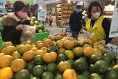 Tiêu chuẩn nông sản nội địa - Phải khắt khe như hàng xuất khẩu