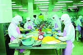 Năm 2023, xuất khẩu cá tra tăng trưởng trong khó khăn