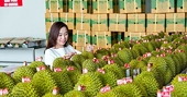 Đón thời cơ xuất khẩu nông sản sang Trung Quốc
