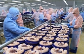 Đối thủ ngày càng lớn mạnh, doanh nghiệp thủy sản giữ thị phần thế nào?
