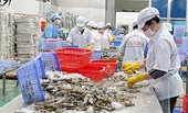 Cơ hội cho doanh nghiệp Việt Nam thúc đẩy xuất khẩu sang Nga