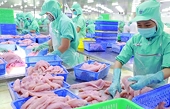 Xuất khẩu cá tra: Vì sao chế biến sâu chỉ chiếm 2%?
