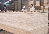 Ngành gỗ dán cần phải thích ứng với môi trường thương mại đang thay đổi