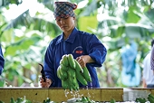 Xuất khẩu những mặt hàng thế giới cần