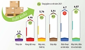 Xuất khẩu sang EU: Chuyển đổi để thích ứng là yêu cầu sống còn