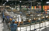 Doanh nghiệp tăng tốc đẩy mạnh xuất khẩu