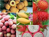 Điểm tên những thách thức từ các thị trường xuất khẩu nông sản năm 2023