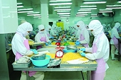 FSIS sẽ kiểm tra hệ thống ATTP đối với cá da trơn xuất khẩu của Việt Nam