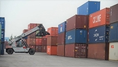 Xuất khẩu trực tiếp và trực tuyến sang EU chịu nhiều quy định về an toàn sản phẩm